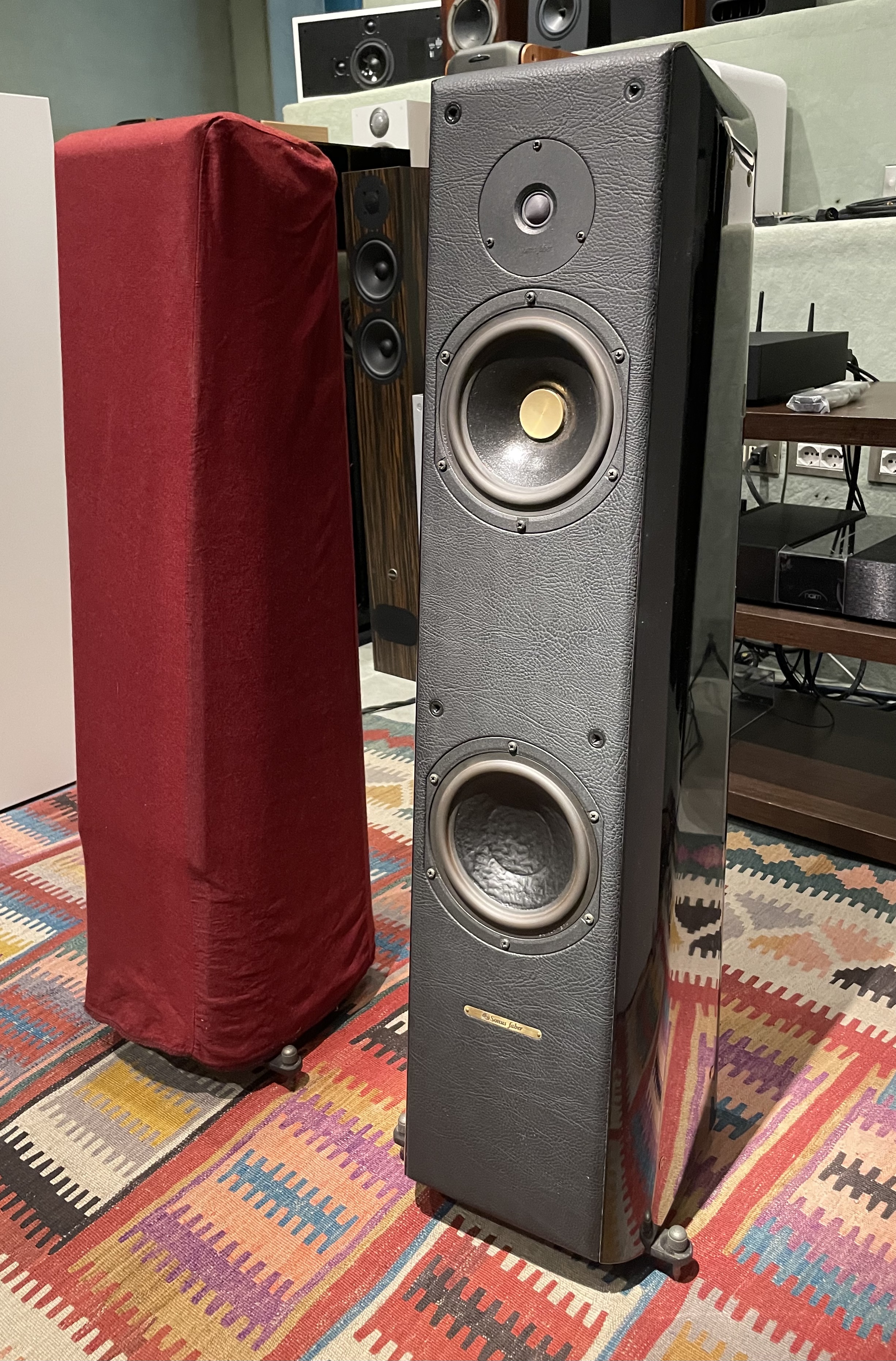 Sonus Faber Gran Piano usate